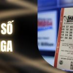Xổ Số Mega Là Gì? Hướng Dẫn Theo Dõi Kết Quả Chi Tiết 1 Xổ Số Mega Là Gì? Hướng Dẫn Theo Dõi Kết Quả Chi Tiết